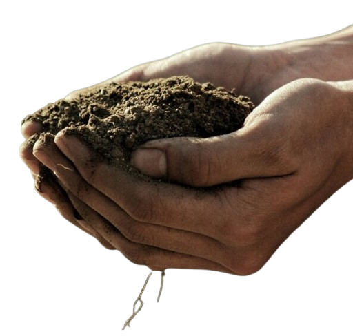 gabriel-jimenez-jin4W1HqgL4-unsplash__1___1___1_-removebg-preview